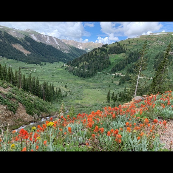 Meet your Posher, R - Picture 1 of 1